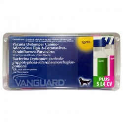 Vanguard plus 5 l4 cv