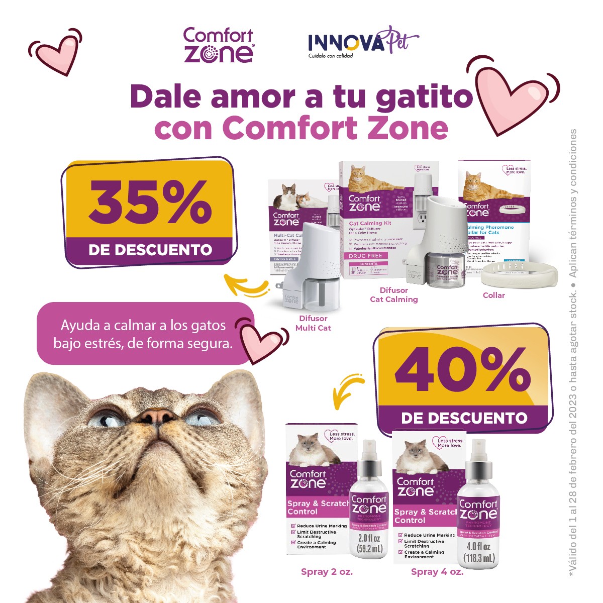 Dale amor a tu gatito con Comfort Zone.