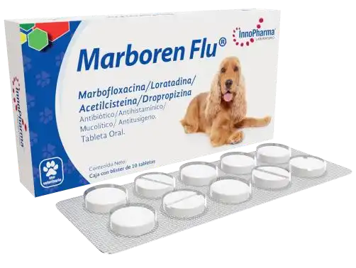 Marboren Flu