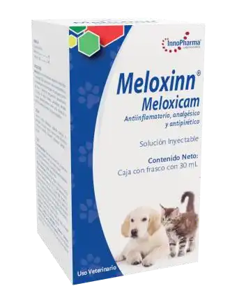Meloxinn