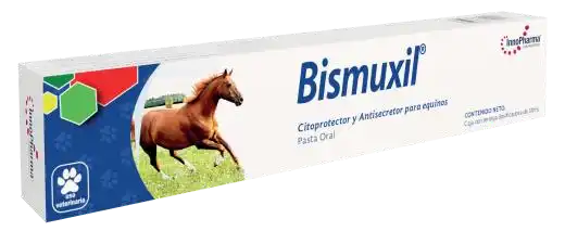 Bismuxil
