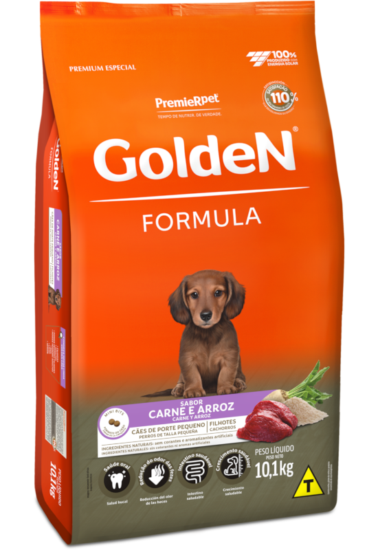 Golden – Perros Cachorros – Pequeños