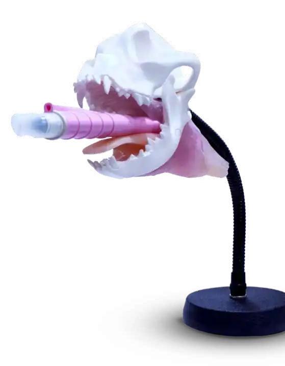 Mascarillas Supraglóticas para Perros